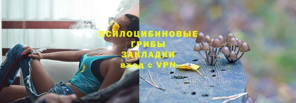 spice Алзамай