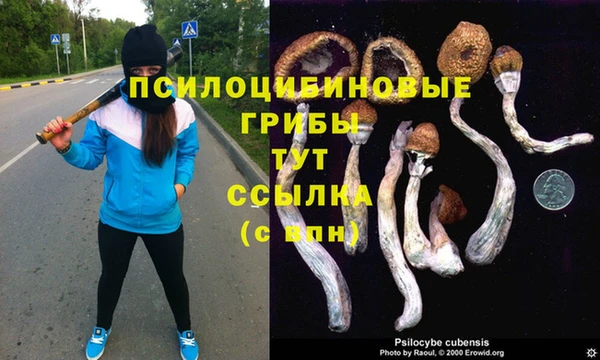 соль курить ск Алексин