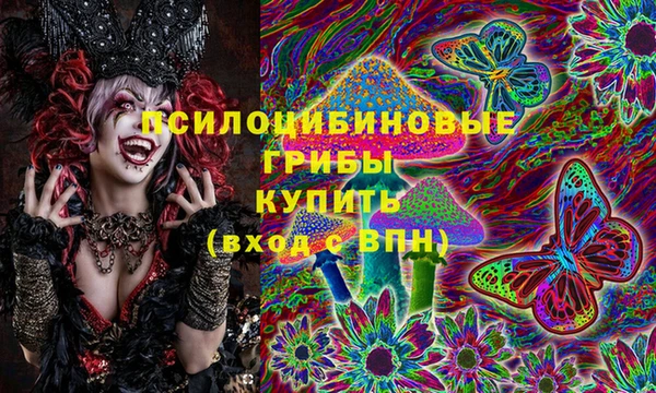 spice Алзамай
