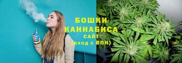 сатива Алексеевка