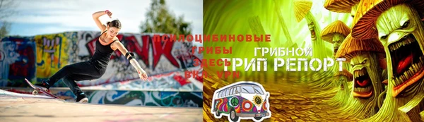spice Алзамай