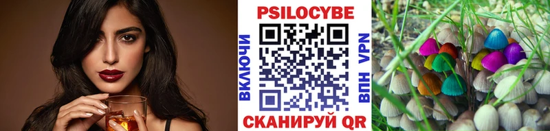 Галлюциногенные грибы Psilocybe  где можно купить наркотик  Спас-Клепики 